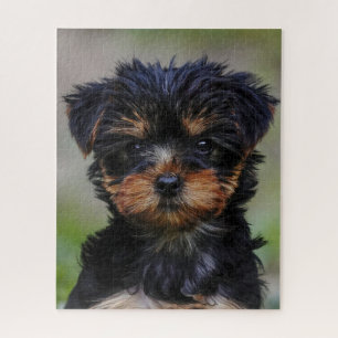 Puzzle Cute chiot Yorkie