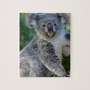 Puzzle Cute cuddly Australian koala