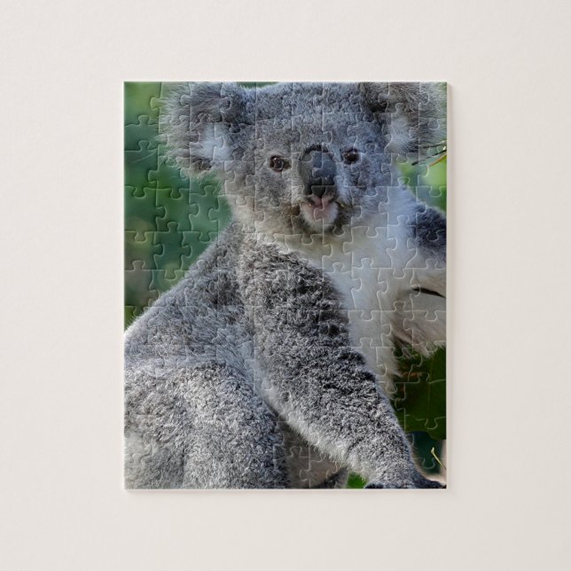 Puzzle Cute cuddly Australian koala (Vertical)
