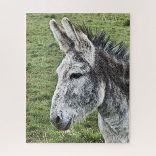 PUZZLE CUTE DONKEY