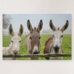 Puzzle Cute Donkeys In Misty Paddock Animals Nature<br><div class="desc">This gorgeous jigsaw puzzles features three donkeys peering over a rustic wooden fence on a misty morning #animals #donkeys #nature #rural #scenic #travel  #outdoors #jigsaw #puzzle #jigsawpuzzle #gifts #fun #stockingstuffers #games #landscape</div>