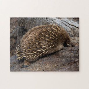 Puzzle Cute Echidna Australie, Enfants 252 pièces
