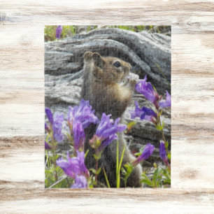 Puzzle Cute écureuil terrestre et nature Fleur sauvage