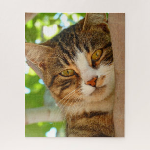Puzzle Cute Escalade de chat un arbre