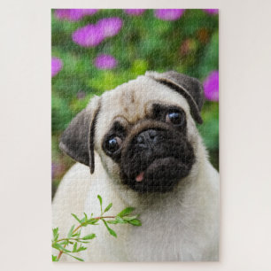 Puzzle Cute Fawn Coloré Carlin Chien Chien Chien Portrait