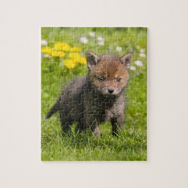 Puzzle Cute Fluffy Red Fox Cub Wild Baby Animal Jeu 8x10 (Vertical)