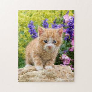 Puzzle Cute Ginger Chat Kitten dans Jardin Fleuri _