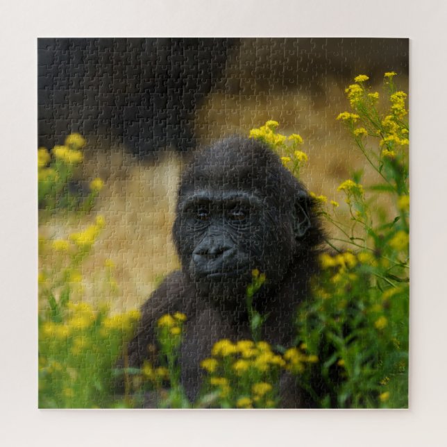 Puzzle Cute Gorilla Baby (Vertical)