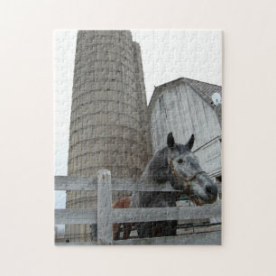 Puzzle Cute Horse et Silo