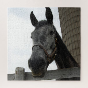 Puzzle Cute Horse Fermer
