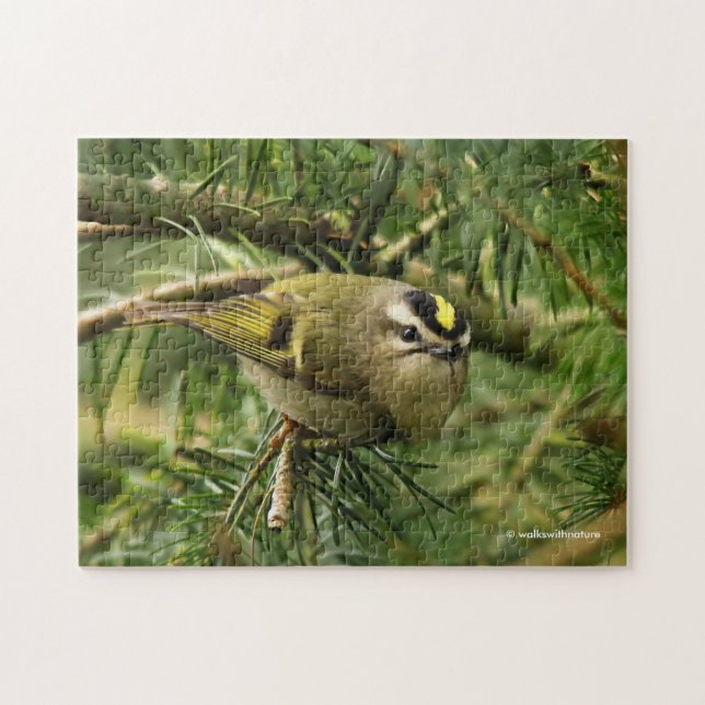 Puzzle Cute Kinglet Songbird Causes Stir in the Fir (Horizontal)