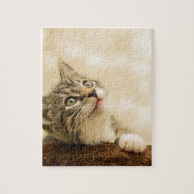 Puzzle Cute Kitten avec une paille étirée (Vertical)