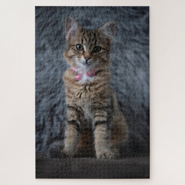 Puzzle Cute kitten portrait de chat, 1014 pièces (Vertical)