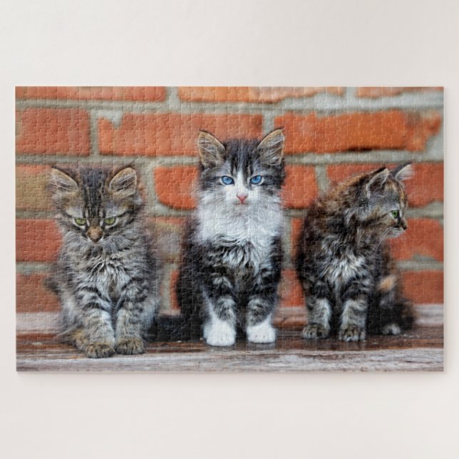 Puzzle Cute Kittens Assis Devant Un Mur De Briques (Horizontal)