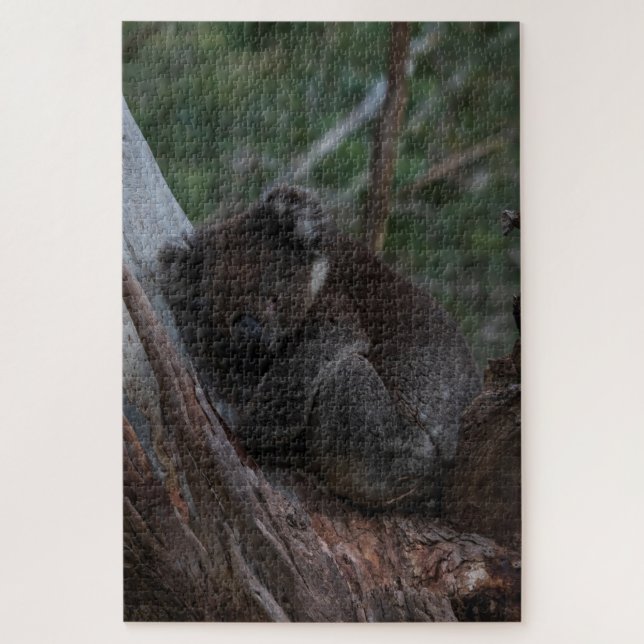 Puzzle Cute Koala Dormir dans l'arbre Australie, 1014 piè (Vertical)