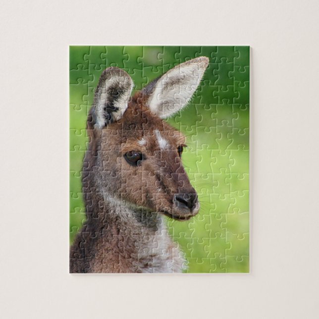 Puzzle Cute Little Kangaroo (Vertical)