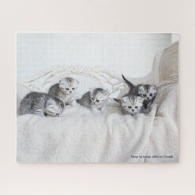 Puzzle Cute Little Kittens (Horizontal)