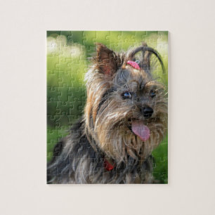 Puzzle Cute Little Yorkshire Terrier Chien