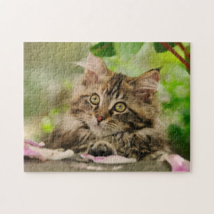 Puzzle Cute Maine Coon chaton posé dans un jardin -