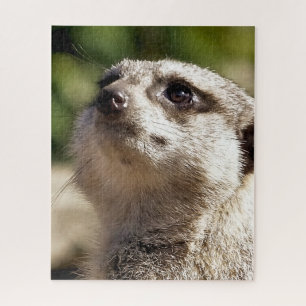 PUZZLE CUTE MEERKAT