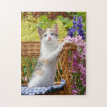 Cute Nosy Baby Chat Kitten dans un jardin fleuri