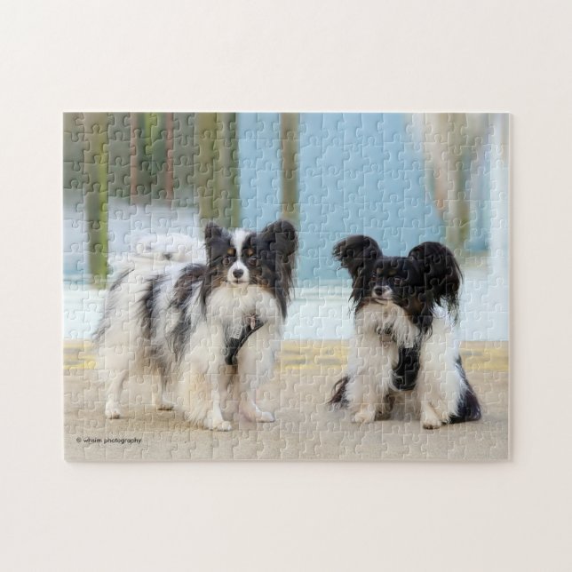 Puzzle Cute Papillon Toy Spaniels Chiens au quai (Horizontal)