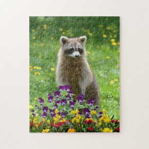 Puzzle Cute Raccoon dans Flower Garden Faune