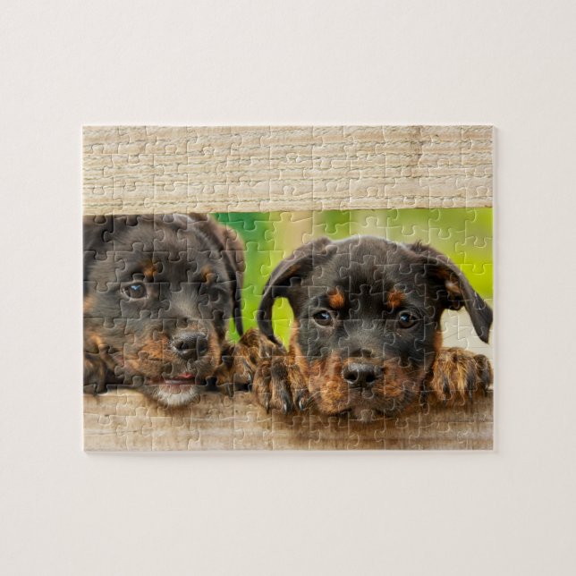 Puzzle Cute Rottweiler chiots Chien Nature animale (Horizontal)