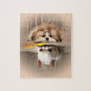 Puzzle Cute shih tzu et chihuahua