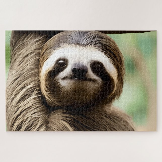 Puzzle Cute sloth background (Horizontal)