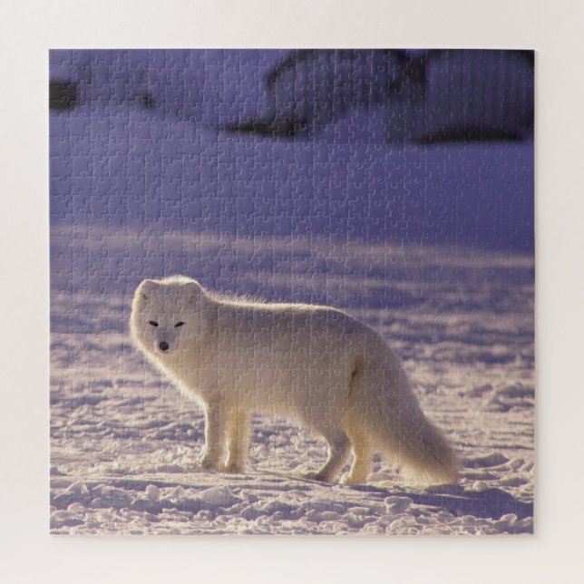 Puzzle Cute White Arctic Fox neige hiver Photographie (Vertical)