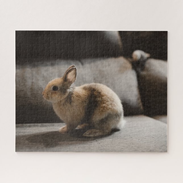 Puzzle Cutest Baby Animals | Netherland Dwarf Rabbit (Horizontal)