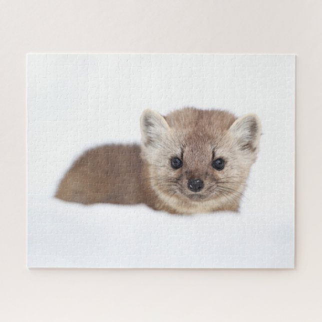 Puzzle Cutest Baby Animals | Pine Marten (Horizontal)