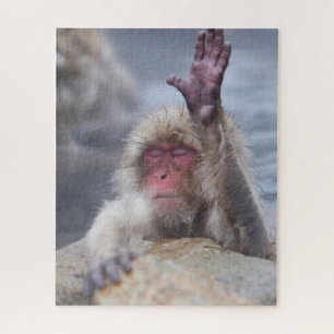 Puzzle Cutest Baby Animals Snow Monkey Face