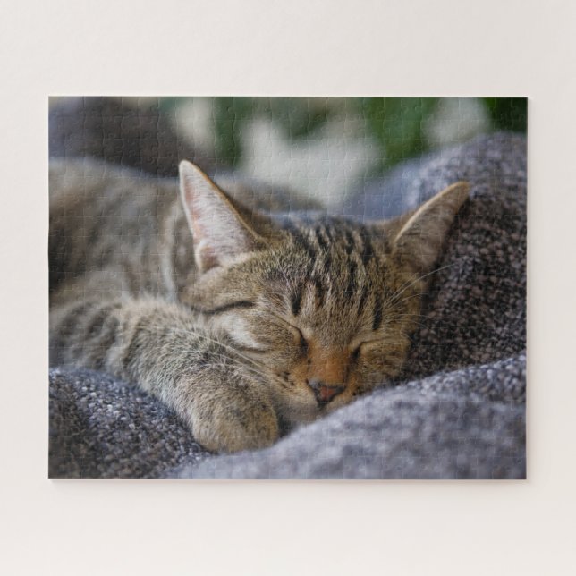 Puzzle Cutest Baby Animals | Tabby Kitten Sleeping (Horizontal)
