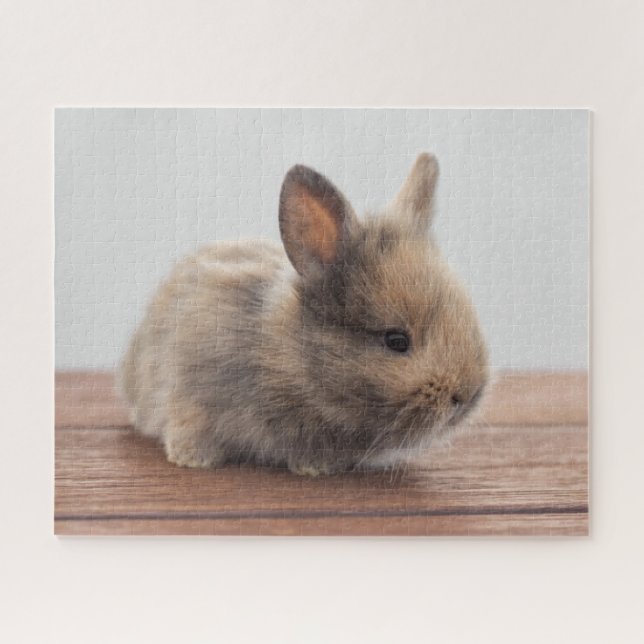 Puzzle Cutest Baby Animals | Tiny Baby Bunny (Horizontal)