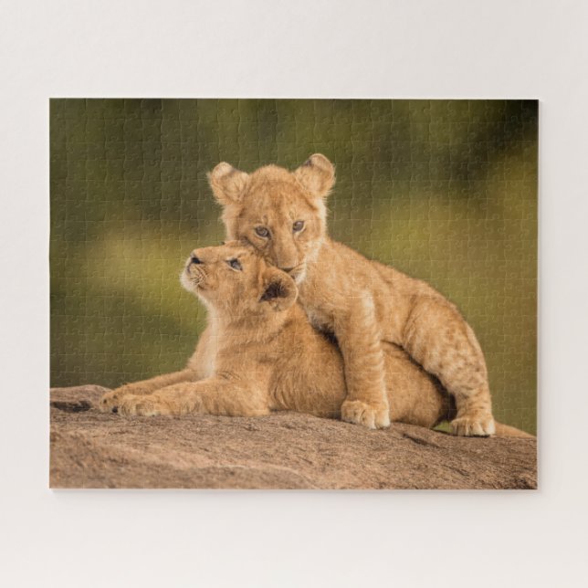 Puzzle Cutest Baby Animals | Two Lion Cubs (Horizontal)