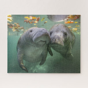 Puzzle Cutest Baby Animals Two Manatees