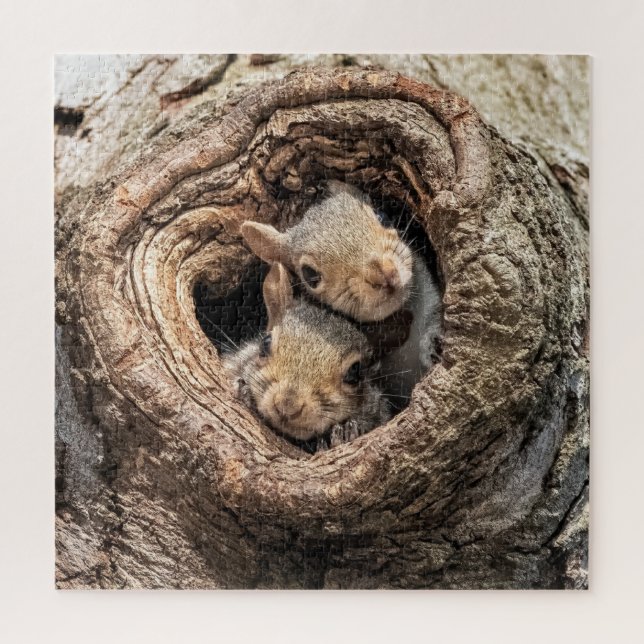 Puzzle Cutest Baby Animals | Two Young Squirrels (Vertical)