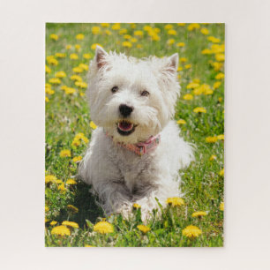 Puzzle Cutest Baby Animals Westie Dog in Dandelions
