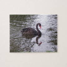 Cygne
