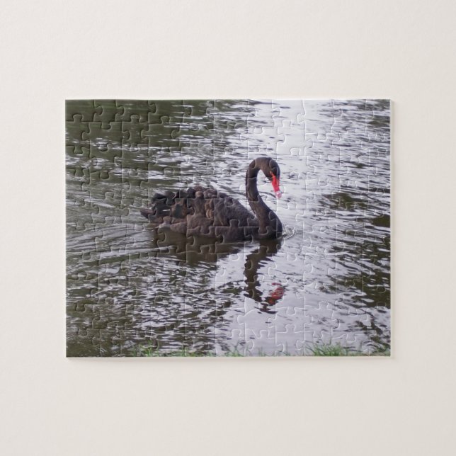 Puzzle Cygne (Horizontal)