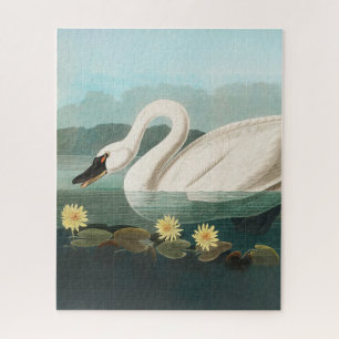 Puzzle cygne audubon cygnes d'eau blanche