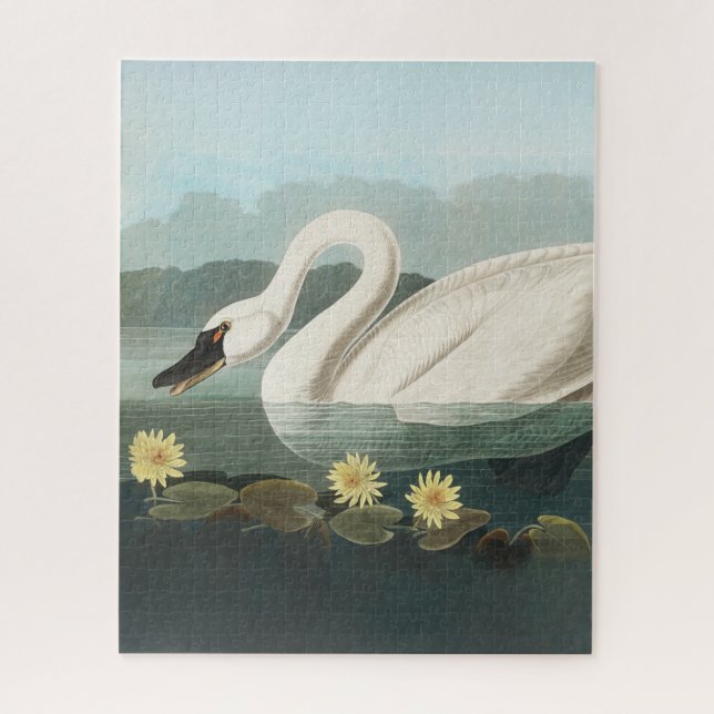 Puzzle cygne audubon cygnes d'eau blanche (Vertical)