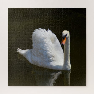 Puzzle Cygne blanc