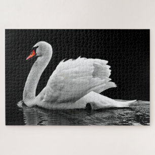 Puzzle Cygne blanc sur l'eau