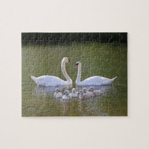 Puzzle Cygne et cygnets
