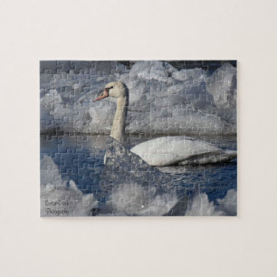 Puzzle Cygne juvénile dans la rivière Icey