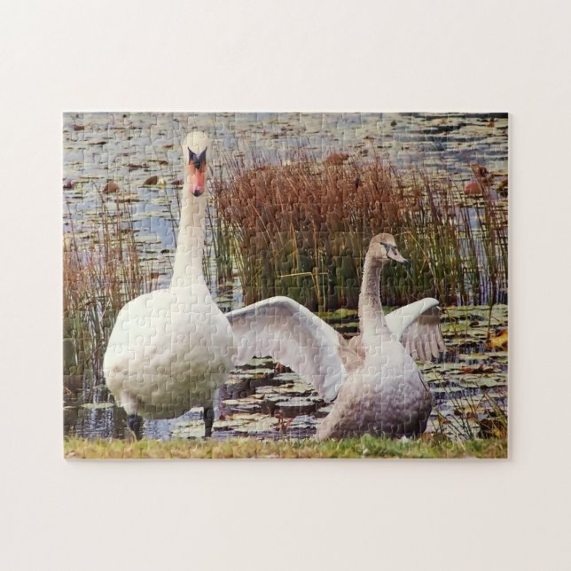 Puzzle Cygne mère et bébé Faune Mignonne  (Horizontal)