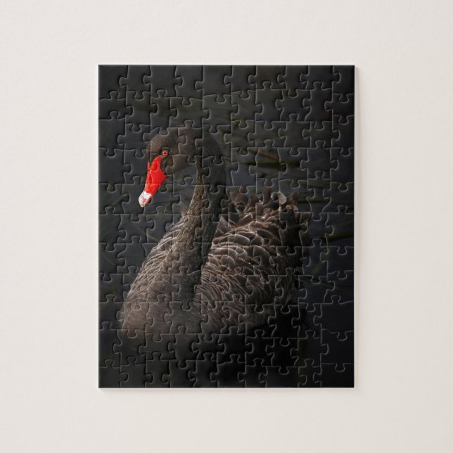 Puzzle Cygne noir (Vertical)